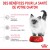 ROYAL CANIN Croquettes Kitten : chaton jusqu'à 12 mois