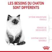 ROYAL CANIN Croquettes Kitten : chaton jusqu'à 12 mois