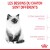 ROYAL CANIN Croquettes Kitten : chaton jusqu'à 12 mois