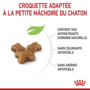 ROYAL CANIN Croquettes Kitten : chaton jusqu'à 12 mois