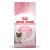 ROYAL CANIN Croquettes Mother & Babycat : chaton