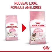 ROYAL CANIN Croquettes Mother & Babycat : chaton