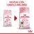 ROYAL CANIN Croquettes Mother & Babycat : chaton