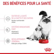 ROYAL CANIN Croquettes Mother & Babycat : chaton