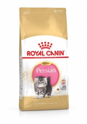 ROYAL CANIN Croquettes Kitten Persian chaton