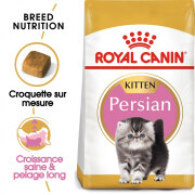 ROYAL CANIN Croquettes Kitten Persian chaton