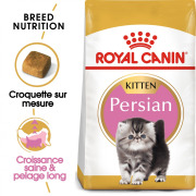 ROYAL CANIN Croquettes Kitten Persian chaton