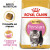 ROYAL CANIN Croquettes Kitten Persian chaton