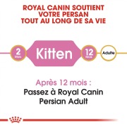 ROYAL CANIN Croquettes Kitten Persian chaton