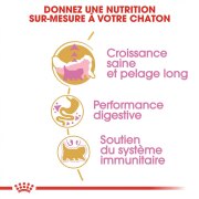 ROYAL CANIN Croquettes Kitten Persian chaton