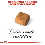 ROYAL CANIN Croquettes Kitten Persian chaton