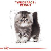 ROYAL CANIN Croquettes Kitten Persian chaton