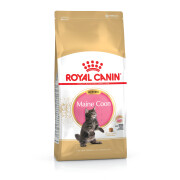 ROYAL CANIN Croquettes Kitten Maine Coon chaton