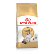 ROYAL CANIN Croquettes Ragdoll