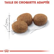 Royal Canin Sterilised 37 – Croquettes chat stérilisé (1 à 7 ans)