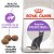 Royal Canin Sterilised 37 – Croquettes chat stérilisé (1 à 7 ans)