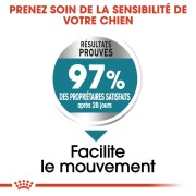 ROYAL CANIN Croquettes Maxi Joint Care Sac de 10 kg