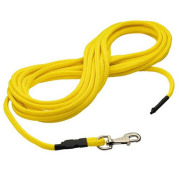 Longe ronde jaune Canihunt