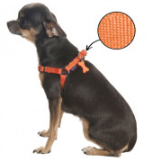 Harnais Baudrier Safe orange