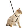 Kit harnais et laisse pour chat noir anti-fugue