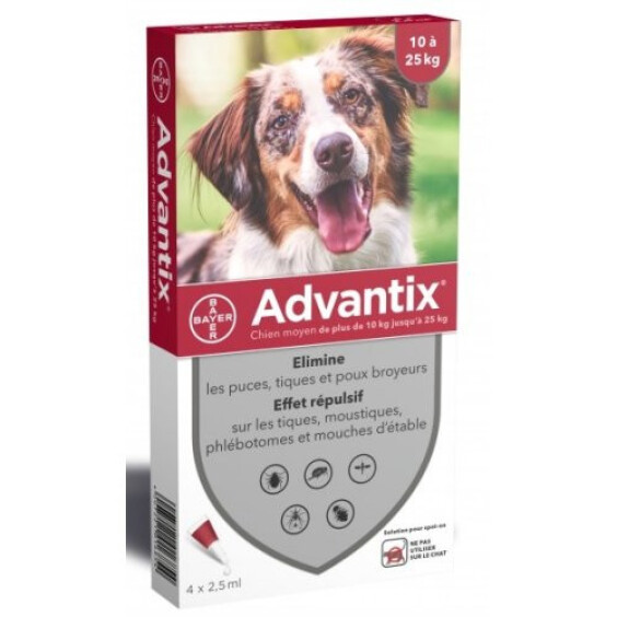 Pipette anti puce chien moyen