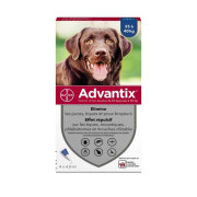Pipette anti puce Advantix grand chien 