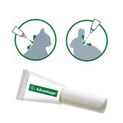 Pour chat et lapin de plus de 4 kg