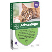 Pour chat et lapin de plus de 4 kg