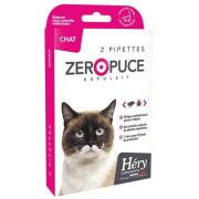 Zéro puce chat