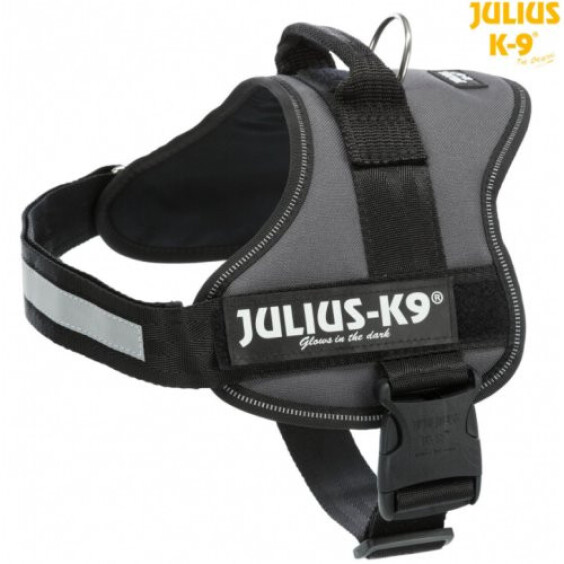 Julius K9 Harnais Power gris