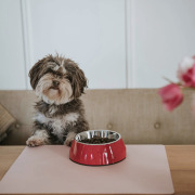 Gamelle rouge Hunter