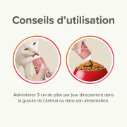 Pâte de Malt chat ! pâte anti boule de poils efficace !