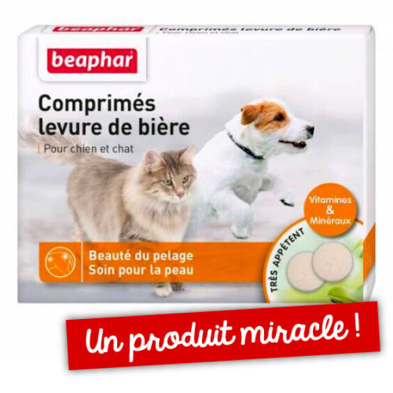 Comprimés de levure de bière pour chien et chat Beaphar
