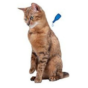 Pipette anti-tique et anti-puce Fiprotec chat Beaphar