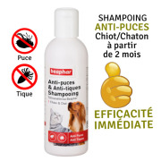 Shampoing antipuces pour chien, chat, chiot, chaton Tétraméthrine Beaphar