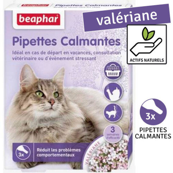 Pipettes calmantes à la valériane pour chat Beaphar