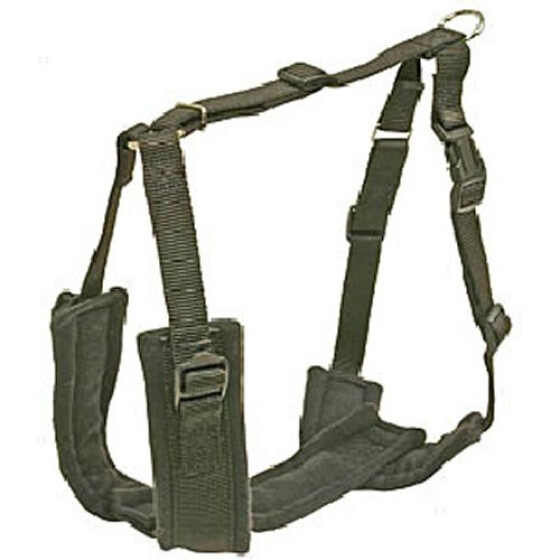 Harnais Canicross Confort noir