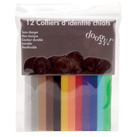Collier d'identification chiot x12
