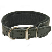 Collier de dressage pour molosse