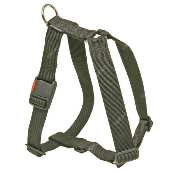 Harnais robuste pour très gros chien
