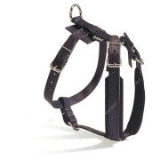 Harnais dressage gros chien cuir standard