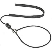 Laisse Educ dressage