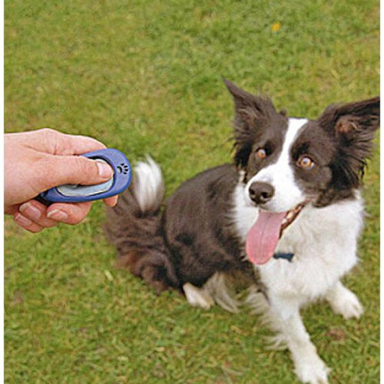 Clicker de luxe réglable 3 sons