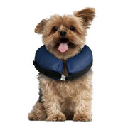 Collerette Petcare gonflable xs