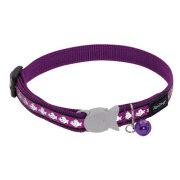 Collier Red Dingo chat Reflective violet