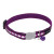 Collier Red Dingo chat Reflective violet