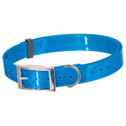 Collier fluo plein-air et chasse bleu