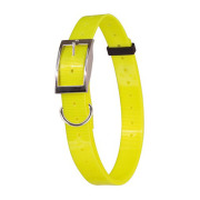 Collier fluo plein-air et chasse jaune