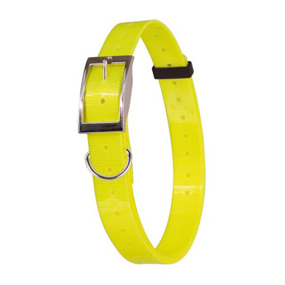 Collier fluo plein-air et chasse jaune