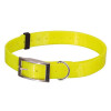 Collier fluo plein-air et chasse jaune